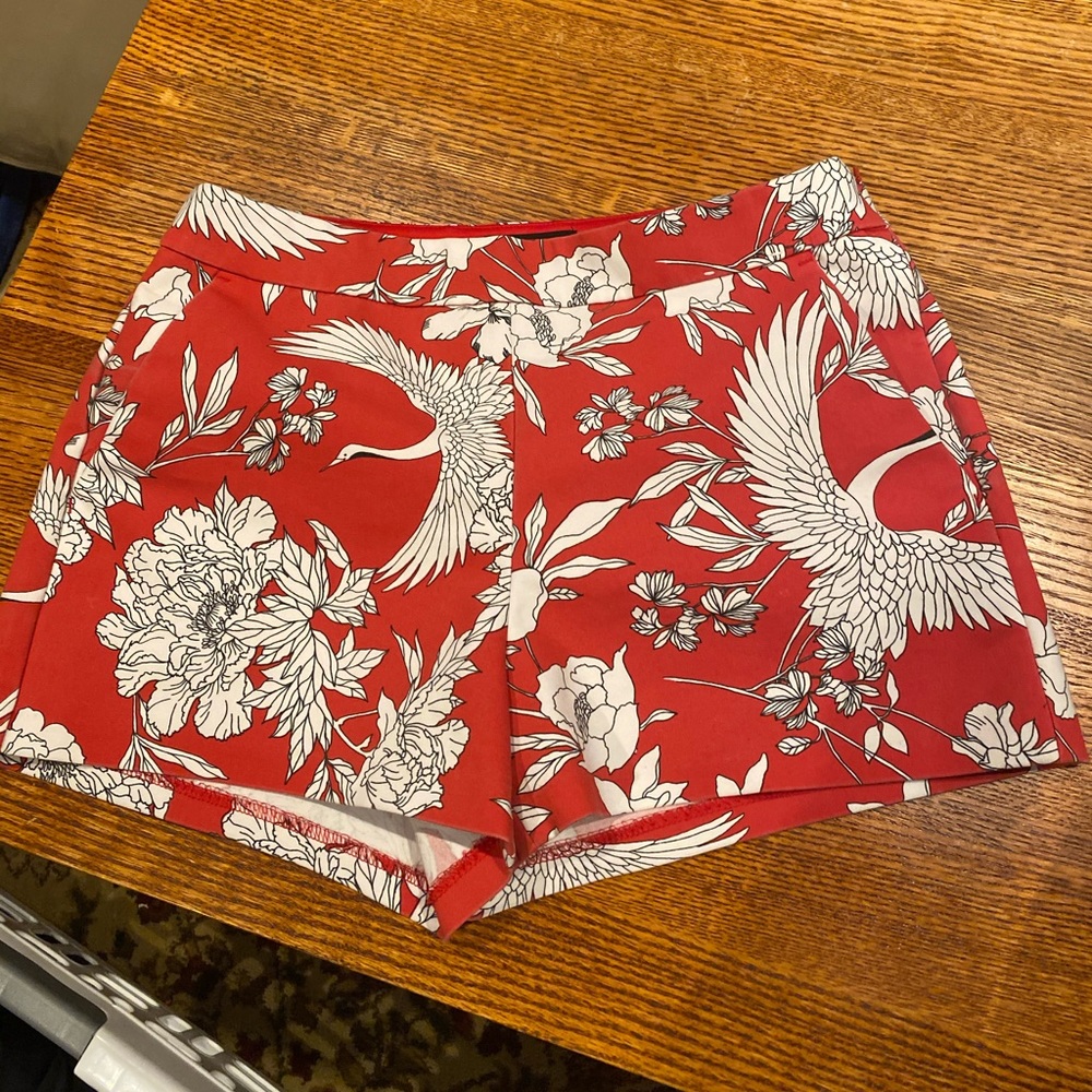 Express dress shorts